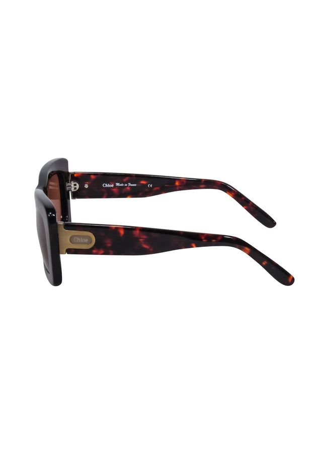 Current Boutique-Chloe - Brown Tortoise Large Square Sunglasses