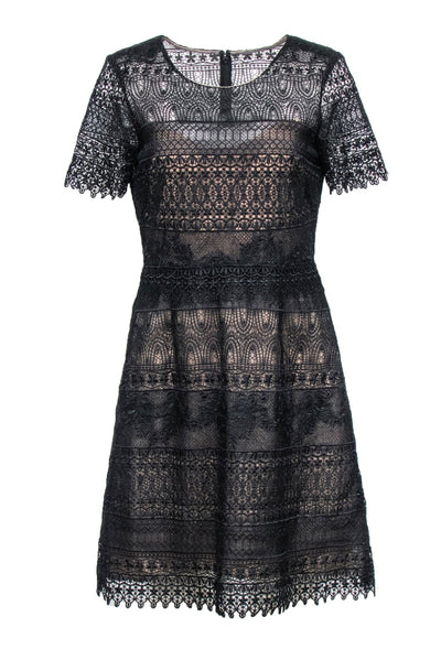 Current Boutique-Marchessa Notte - Black Lace Short Sleeve A-Line Dress Sz 8