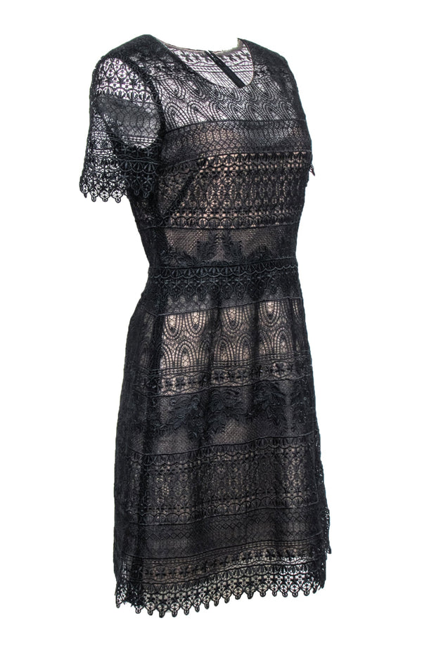 Current Boutique-Marchessa Notte - Black Lace Short Sleeve A-Line Dress Sz 8