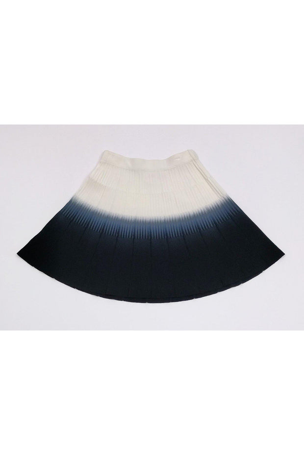 Current Boutique-Parker - Ombre Skater Skirt Sz XS