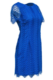 Current Boutique-Reiss - Blue Lace Shift Dress Sz 6