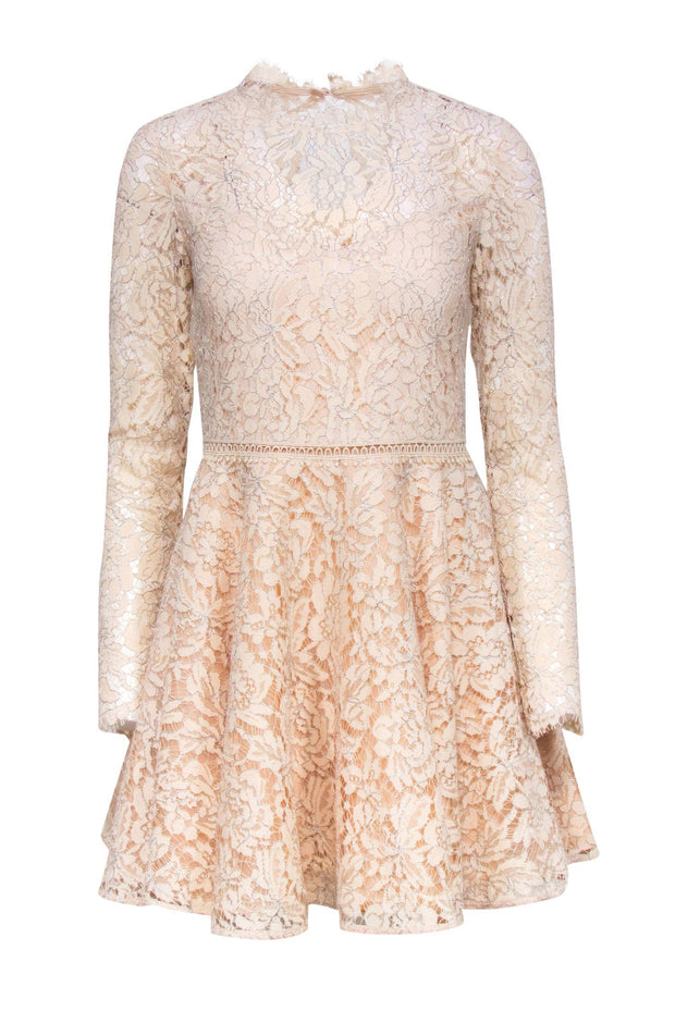 Current Boutique-Saylor - Beige Metallic Floral Lace Fit & Flare Dress w/ Back Cutout Sz S